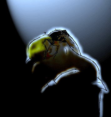 ���������o���ȃC���X�g�͋v���Ԃ�(^^)�U